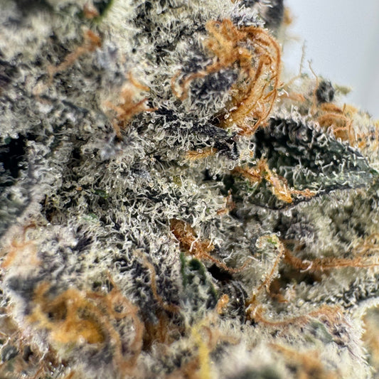 Berry Zest