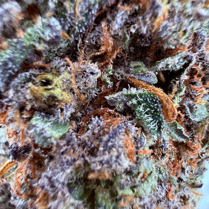 Critical Mass