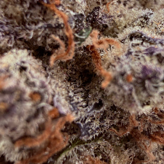 GMO Cookies