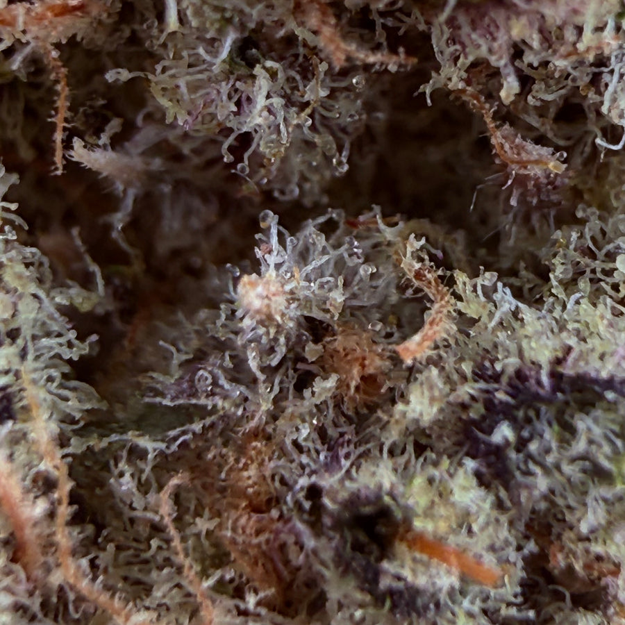 Imperial Citrus