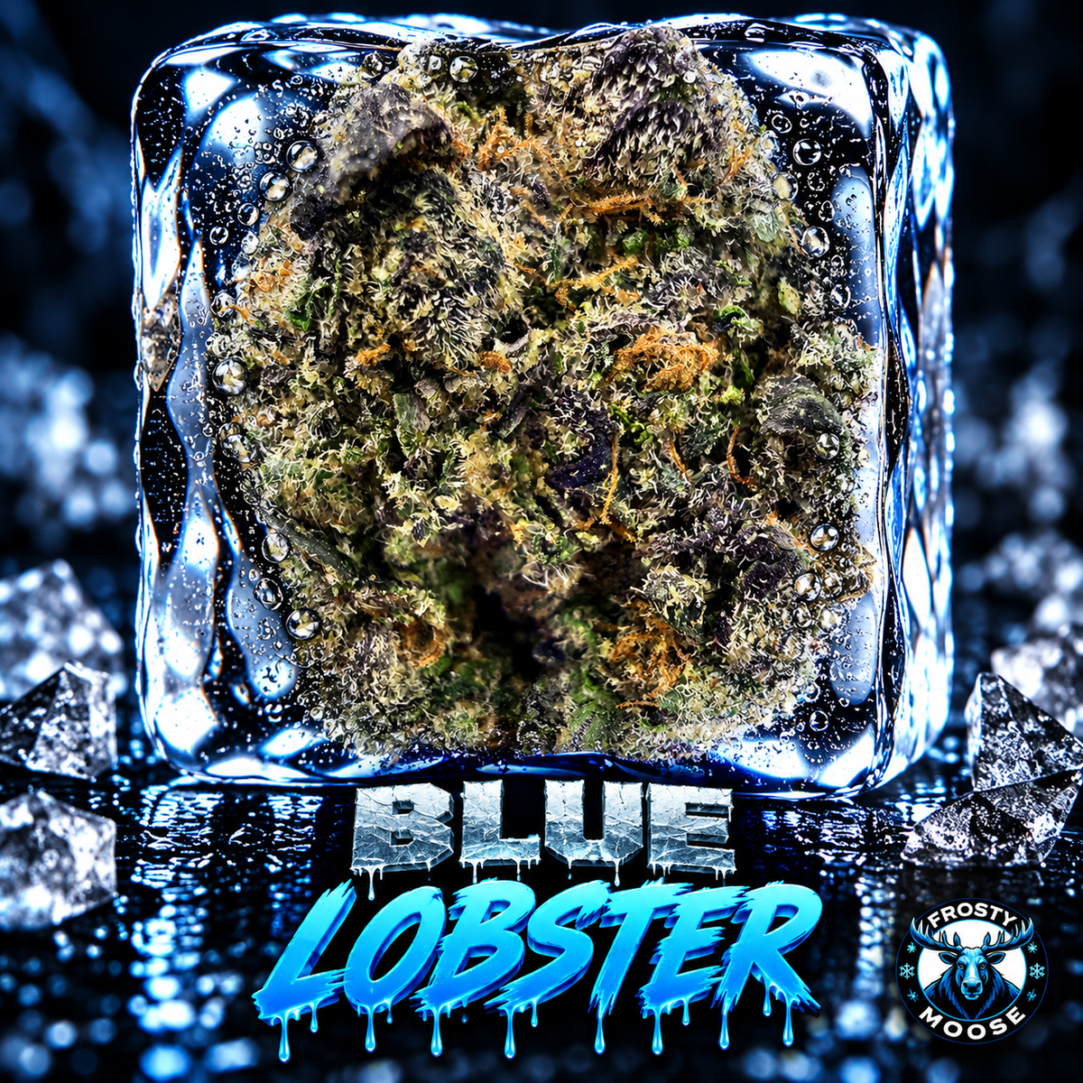 Blue Lobster