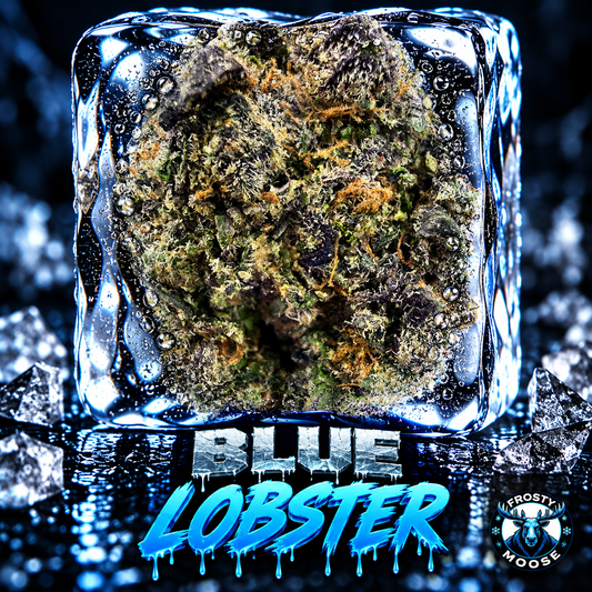 Blue Lobster