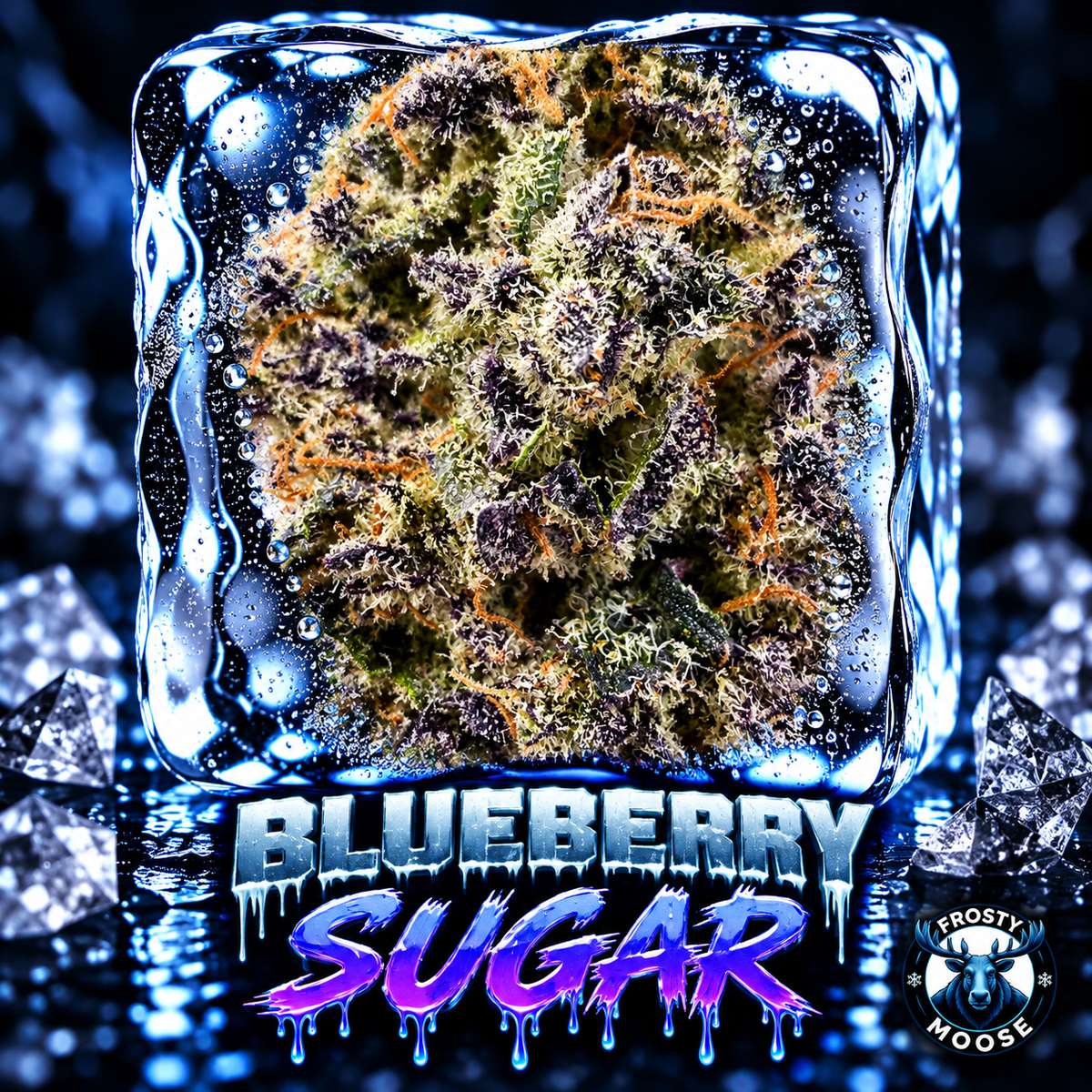 Blueberry Sugar