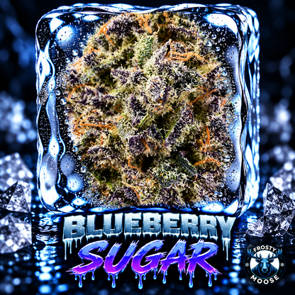 Blueberry Sugar
