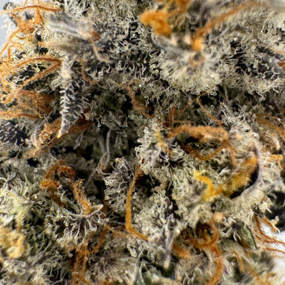 Rollex OG