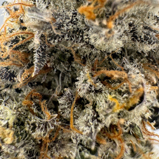 Rollex OG