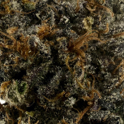 G41 x Coffin Candy