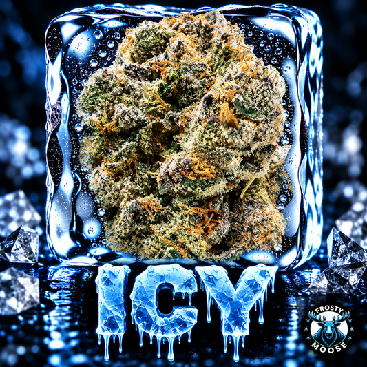Icy