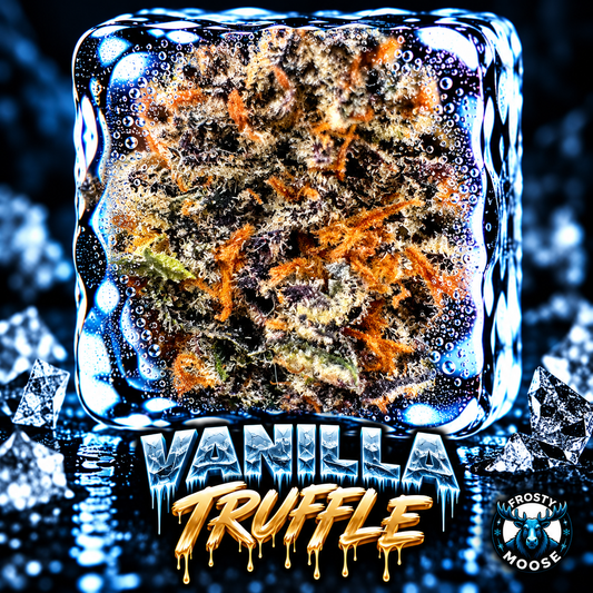 Vanilla Truffle