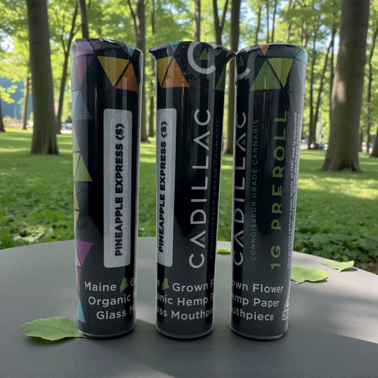 Cadillac Glass Tip Pre-Roll