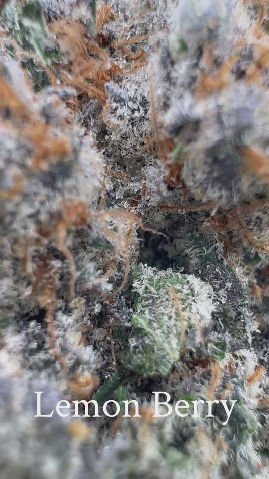 Lemon Berry