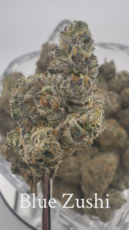 Blue Zushi