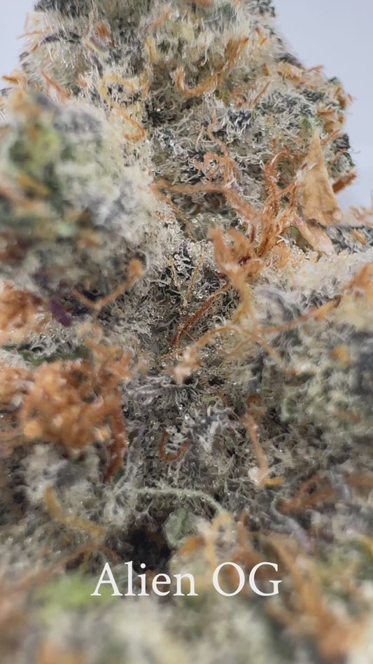 Alien OG