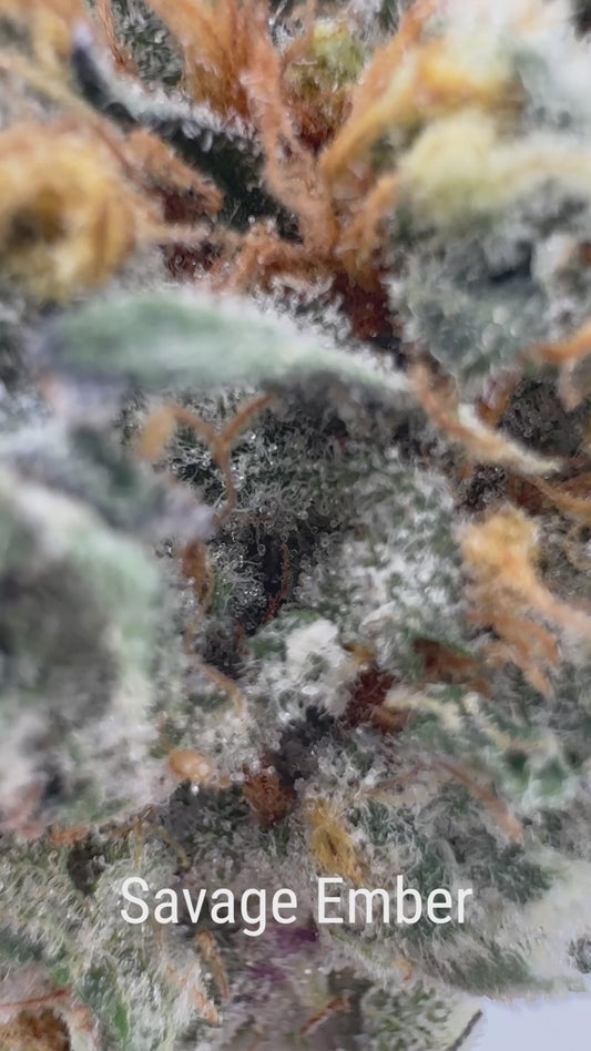 Savage Ember