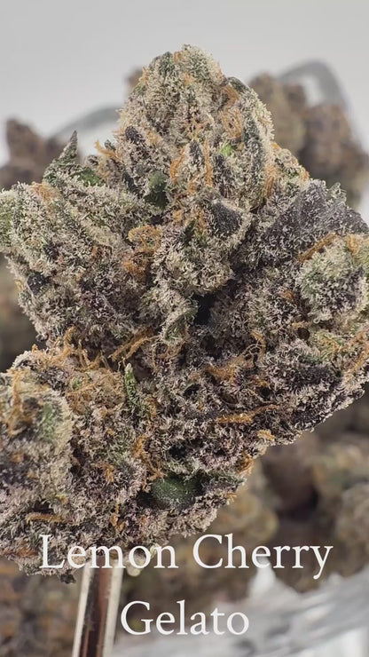 Lemon Cherry Gelato