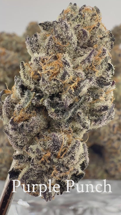 Purple Punch