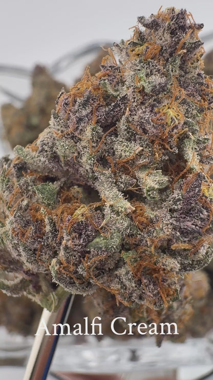 Amalfi Cream