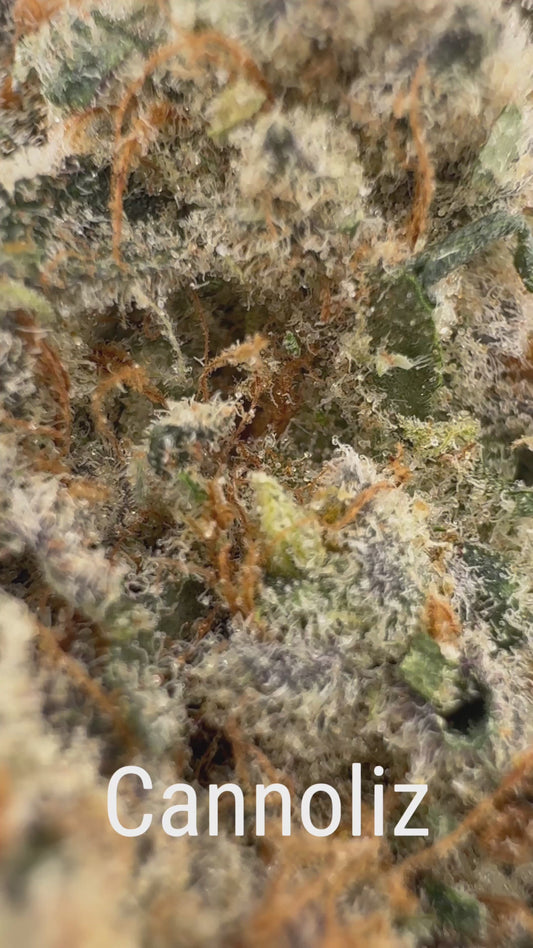 Cannoliz