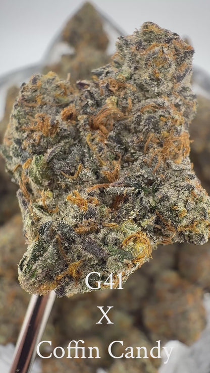 G41 x Coffin Candy