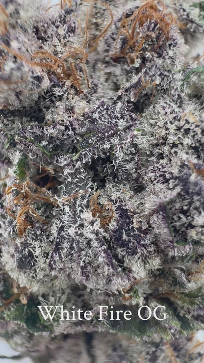 White Fire OG