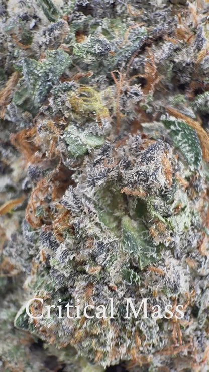 Critical Mass