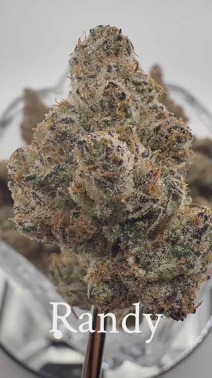 Randy
