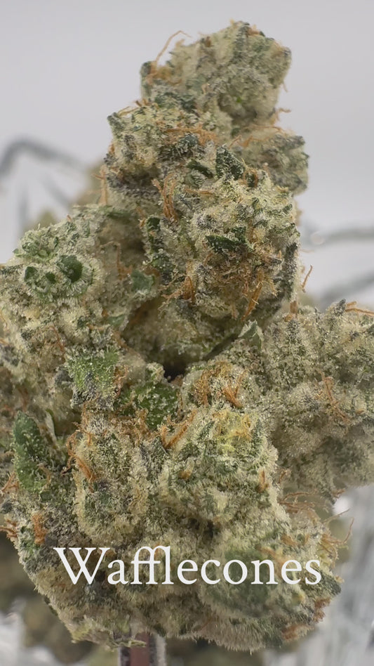Wafflecone