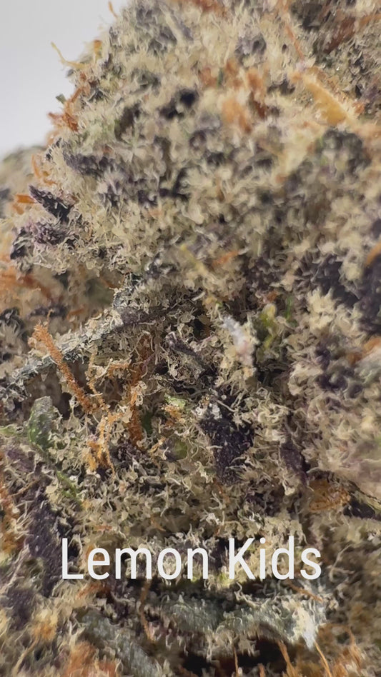Lemon Kids