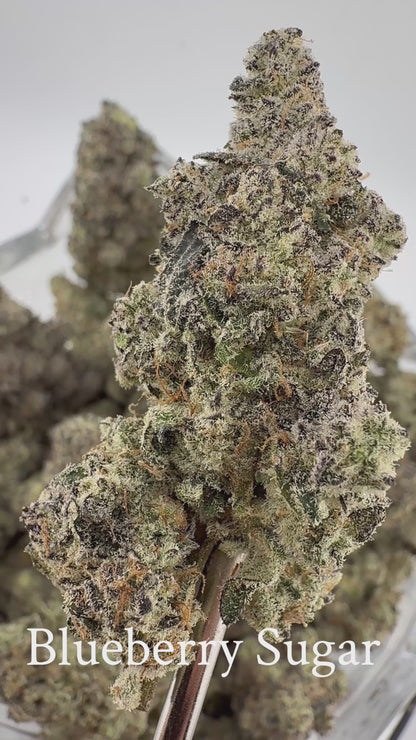 Blueberry Sugar