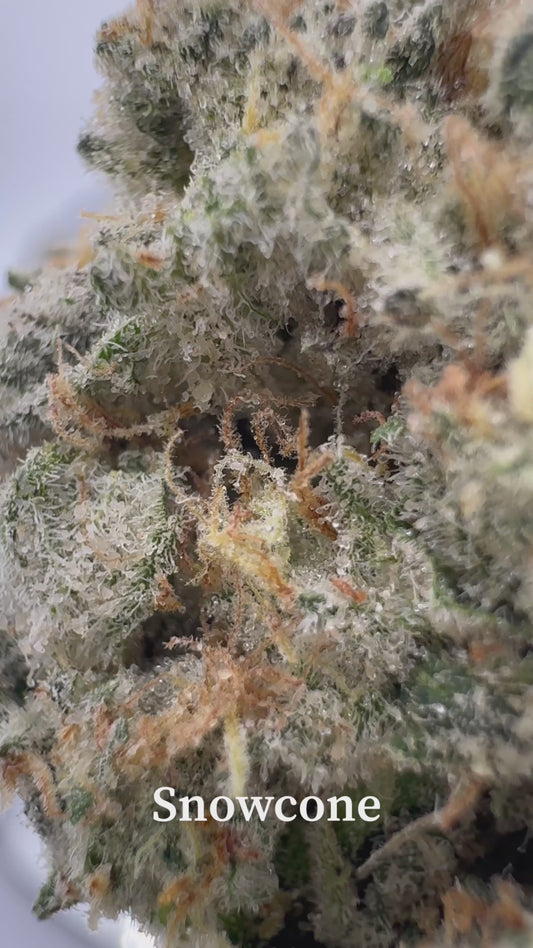 Snowcone