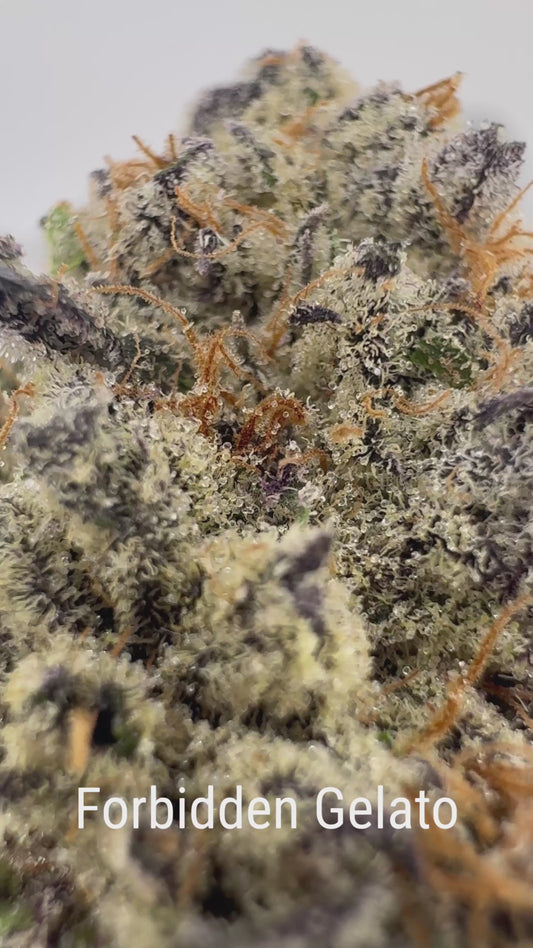 Forbidden Gelato