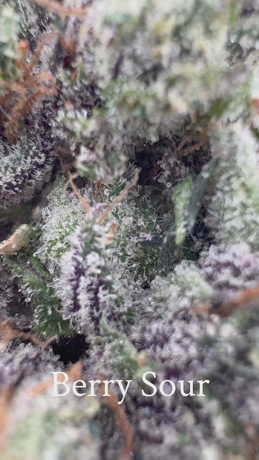 Berry Sour