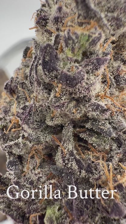 Gorilla Butter