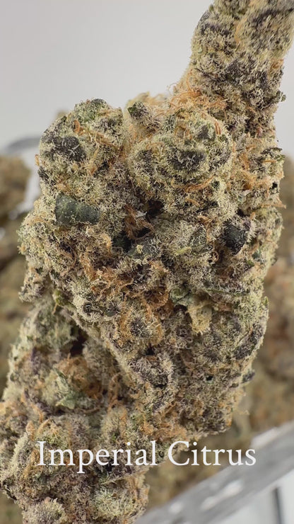 Imperial Citrus