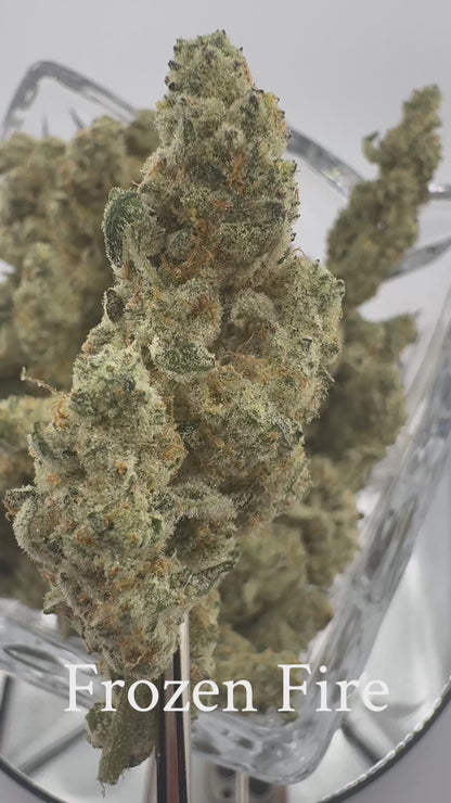 Frozen Fire