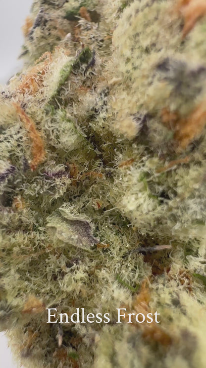 Endless Frost